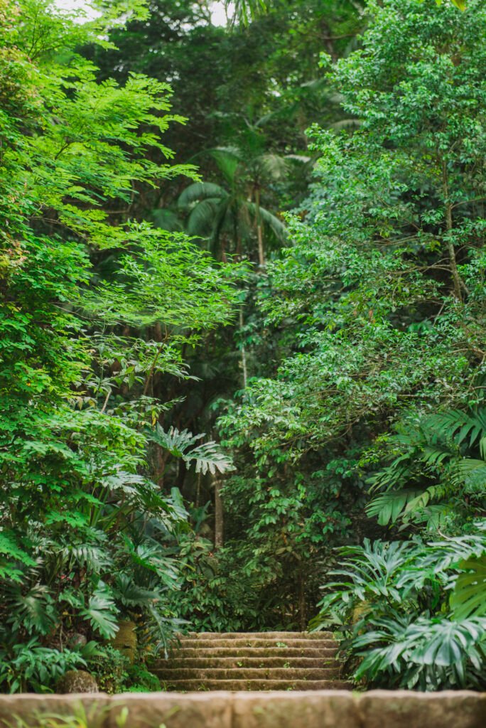 lilian e thiago pre wedding 143 1709x2560 1